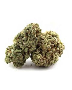 Fleurs CBD Amnesia