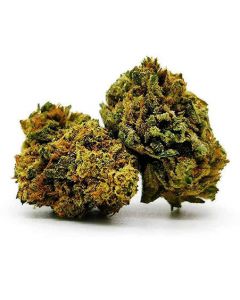 Fleurs CBD Hawaiin Skunk