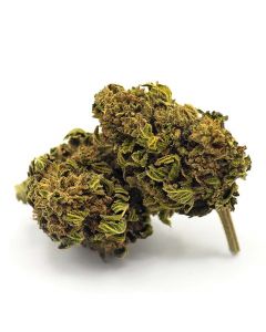 mango kush fleur cbd