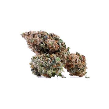 Fleurs CBG Orange Bud
