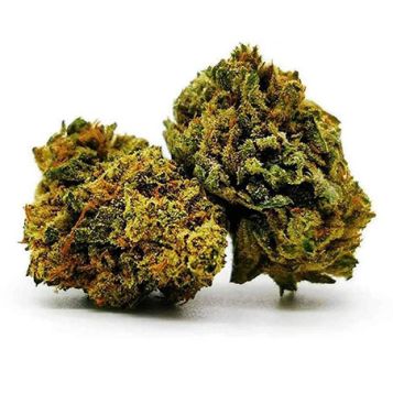 Fleurs CBD Hawaiin Skunk