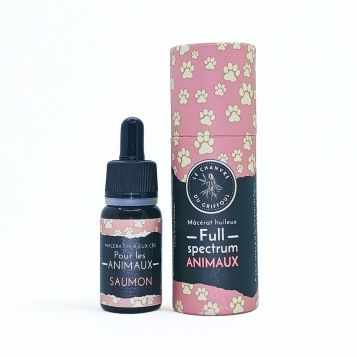 Macérat huileux CBD pour Animaux